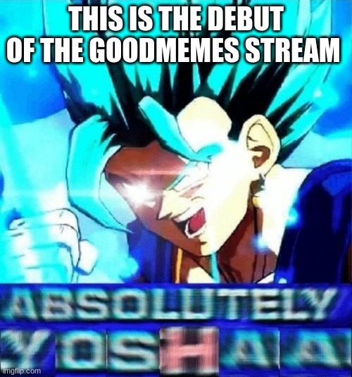 OH YEAH THE DEBUT OF THE goodmemes STREAM | THIS IS THE DEBUT OF THE GOODMEMES STREAM | image tagged in absolutely yosha | made w/ Imgflip meme maker