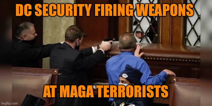DC SECURITY FIRING WEAPONS AT MAGA TERRORISTS | made w/ Imgflip meme maker