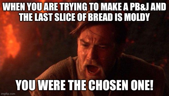 ....... | WHEN YOU ARE TRYING TO MAKE A PB&J AND
THE LAST SLICE OF BREAD IS MOLDY; YOU WERE THE CHOSEN ONE! | image tagged in memes,you were the chosen one star wars | made w/ Imgflip meme maker