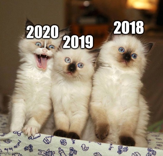 there's always that one year | 2018; 2020; 2019 | image tagged in memes,funny memes,funny cats,there's always that one person | made w/ Imgflip meme maker
