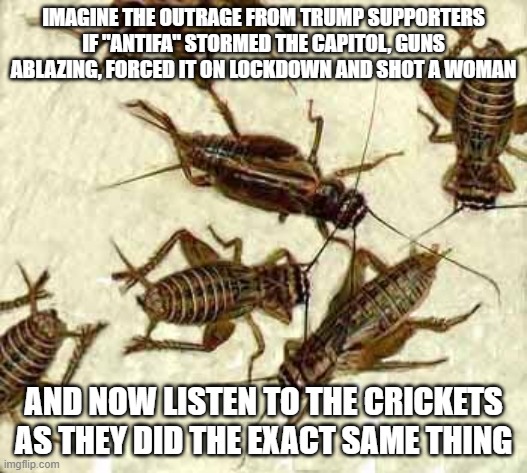 Crickets | IMAGINE THE OUTRAGE FROM TRUMP SUPPORTERS IF "ANTIFA" STORMED THE CAPITOL, GUNS ABLAZING, FORCED IT ON LOCKDOWN AND SHOT A WOMAN; AND NOW LISTEN TO THE CRICKETS AS THEY DID THE EXACT SAME THING | image tagged in crickets | made w/ Imgflip meme maker