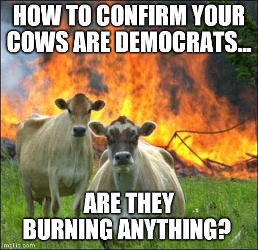 Fire, a common tool of the democrat party. | HOW TO CONFIRM YOUR COWS ARE DEMOCRATS... ARE THEY BURNING ANYTHING? | image tagged in memes,evil cows,democrats | made w/ Imgflip meme maker