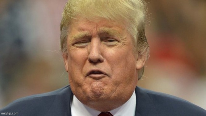 trump face 1 | image tagged in trump face 1 | made w/ Imgflip meme maker