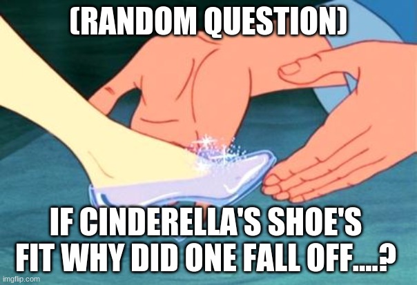 cinderella shoe fits | (RANDOM QUESTION); IF CINDERELLA'S SHOE'S FIT WHY DID ONE FALL OFF....? | image tagged in cinderella shoe fits | made w/ Imgflip meme maker