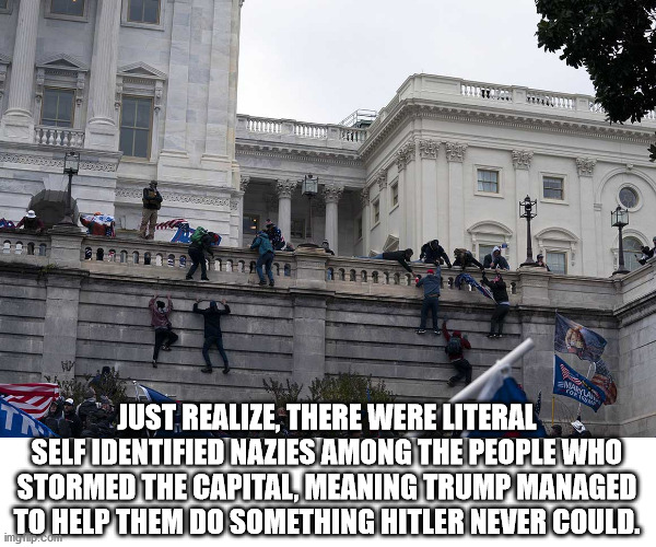 Hail Trump | JUST REALIZE, THERE WERE LITERAL SELF IDENTIFIED NAZIES AMONG THE PEOPLE WHO STORMED THE CAPITAL, MEANING TRUMP MANAGED TO HELP THEM DO SOMETHING HITLER NEVER COULD. | image tagged in protest,nazi,donald trump,special kind of stupid | made w/ Imgflip meme maker