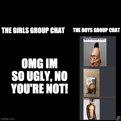 Blank Transparent Square | THE BOYS GROUP CHAT; THE GIRLS GROUP CHAT; OMG IM SO UGLY, NO YOU'RE NOT! | image tagged in memes,blank transparent square | made w/ Imgflip meme maker