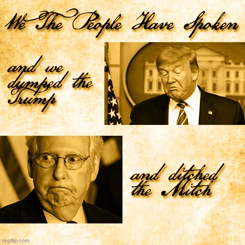 We The People | image tagged in dump trump ditch mitch | made w/ Imgflip meme maker
