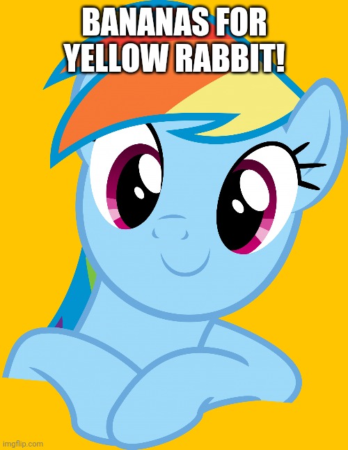 Happy Rainbow Dash (MLP) | BANANAS FOR YELLOW RABBIT! | image tagged in happy rainbow dash mlp | made w/ Imgflip meme maker