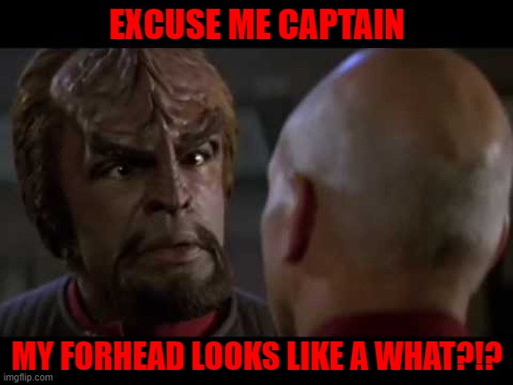 No no...he's got a point... | EXCUSE ME CAPTAIN; MY FORHEAD LOOKS LIKE A WHAT?!? | image tagged in lt worf,star trek | made w/ Imgflip meme maker