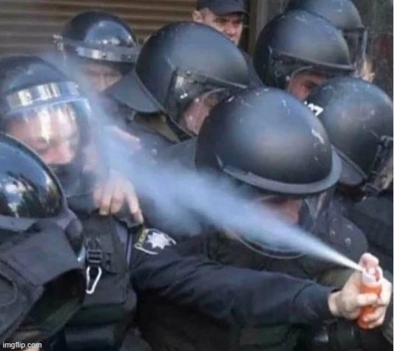 Riot Police like rare self-burns. | image tagged in riots | made w/ Imgflip meme maker