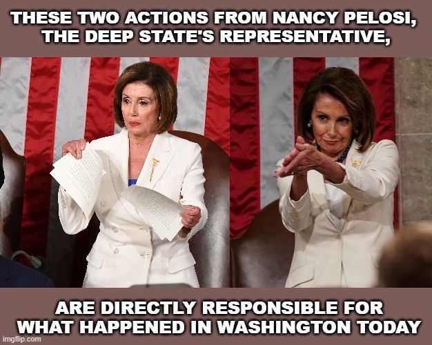 Pelosi | THESE TWO ACTIONS FROM NANCY PELOSI, 
THE DEEP STATE'S REPRESENTATIVE, ARE DIRECTLY RESPONSIBLE FOR WHAT HAPPENED IN WASHINGTON TODAY | image tagged in pelosi,blm | made w/ Imgflip meme maker