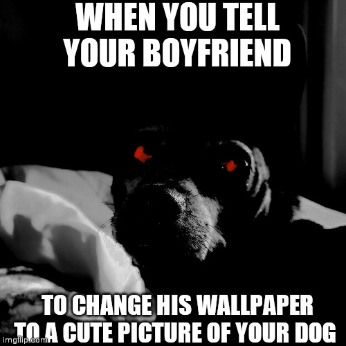 Why are guys like this?? | WHEN YOU TELL YOUR BOYFRIEND; TO CHANGE HIS WALLPAPER TO A CUTE PICTURE OF YOUR DOG | image tagged in funny memes,boyfriend,stupid,weird | made w/ Imgflip meme maker