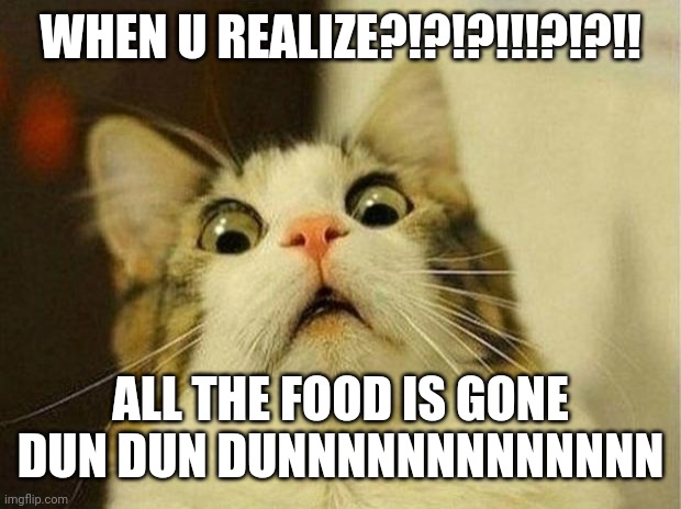 Scared Cat Meme | WHEN U REALIZE?!?!?!!!?!?!! ALL THE FOOD IS GONE 
DUN DUN DUNNNNNNNNNNNNN | image tagged in memes,scared cat | made w/ Imgflip meme maker