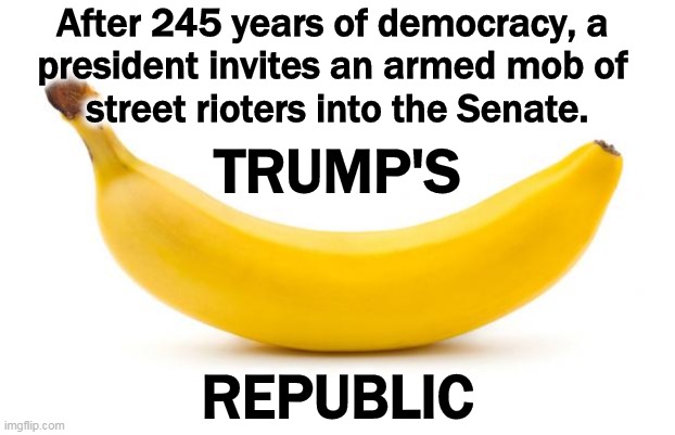 America's image in the world just plummeted through the floor. Democracies don't act like this. Sh*thole countries act like this | After 245 years of democracy, a 
president invites an armed mob of 
street rioters into the Senate. TRUMP'S; REPUBLIC | image tagged in banana,republic,street,fight,riot,trump | made w/ Imgflip meme maker