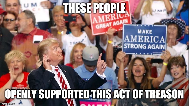 trump crowd | THESE PEOPLE OPENLY SUPPORTED THIS ACT OF TREASON | image tagged in trump crowd | made w/ Imgflip meme maker