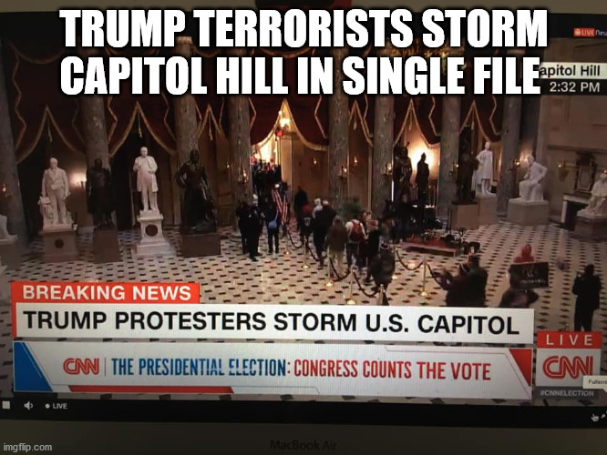 Trump | TRUMP TERRORISTS STORM CAPITOL HILL IN SINGLE FILE | image tagged in donald trump approves,trump,terrorists,capitol hill | made w/ Imgflip meme maker