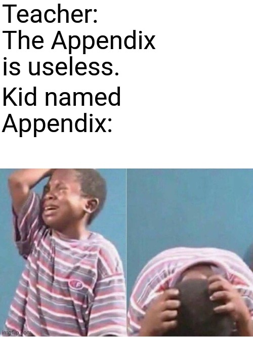 Crying kid | Teacher: The Appendix is useless. Kid named Appendix: | image tagged in crying kid | made w/ Imgflip meme maker