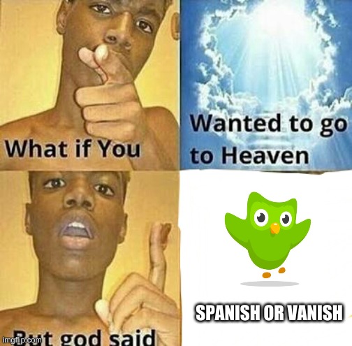 beg for your life in spanish | SPANISH OR VANISH | image tagged in memes,funny,duolingo,what if you wanted to go to heaven,spanish,lesson | made w/ Imgflip meme maker