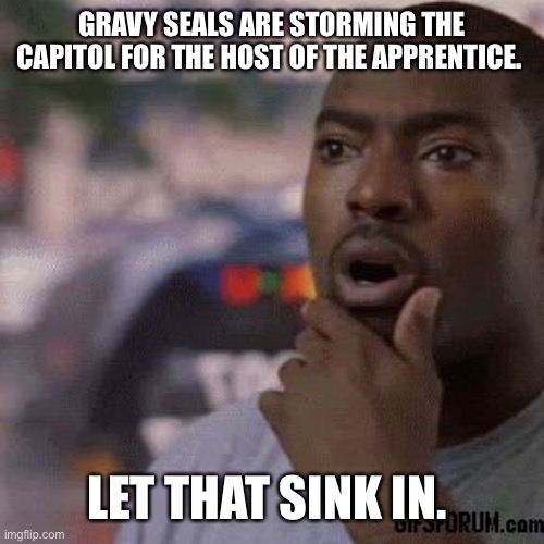 Unbelievable | GRAVY SEALS ARE STORMING THE CAPITOL FOR THE HOST OF THE APPRENTICE. LET THAT SINK IN. | image tagged in unbelievable | made w/ Imgflip meme maker
