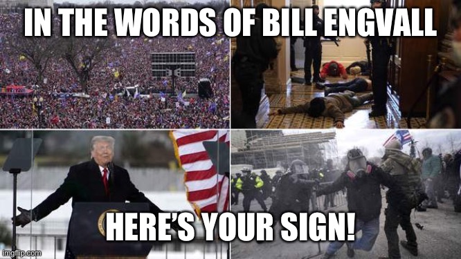 What you get with megalomaniac President and his idiot followers | IN THE WORDS OF BILL ENGVALL; HERE’S YOUR SIGN! | image tagged in trump,trump supporters | made w/ Imgflip meme maker