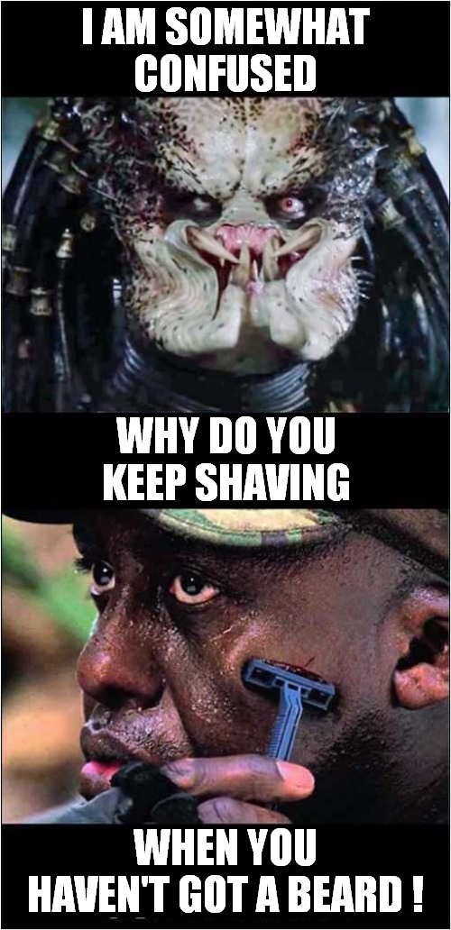 A Curious Predator ! | I AM SOMEWHAT CONFUSED; WHY DO YOU KEEP SHAVING; WHEN YOU HAVEN'T GOT A BEARD ! | image tagged in predator,shaving,beard | made w/ Imgflip meme maker