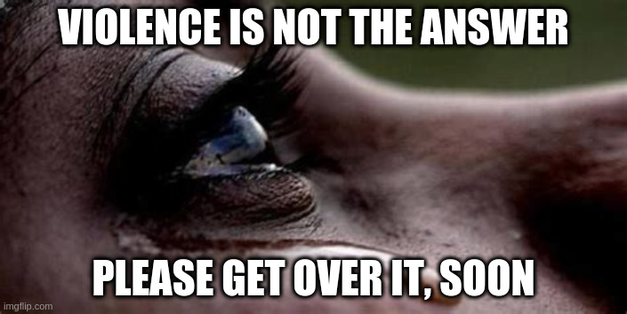 Republican tears | VIOLENCE IS NOT THE ANSWER; PLEASE GET OVER IT, SOON | image tagged in republican tears | made w/ Imgflip meme maker