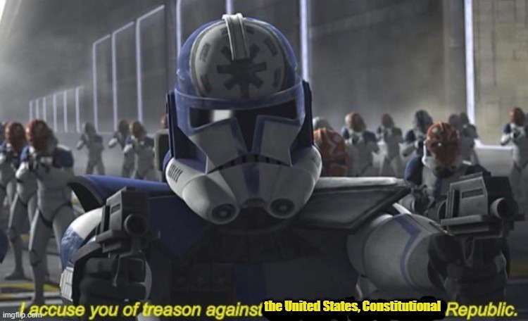 I Accuse You of Treason Against the Grand Army of the Republic | the United States, Constitutional | image tagged in i accuse you of treason against the grand army of the republic | made w/ Imgflip meme maker