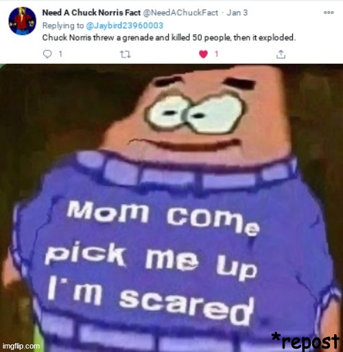 um... | *repost | image tagged in patrick mom come pick me up i'm scared,chuck norris | made w/ Imgflip meme maker
