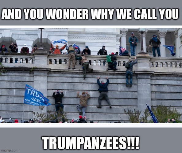 Trumpanzee | AND YOU WONDER WHY WE CALL YOU; TRUMPANZEES!!! | image tagged in traitor,terrorists,criminals,execution time | made w/ Imgflip meme maker