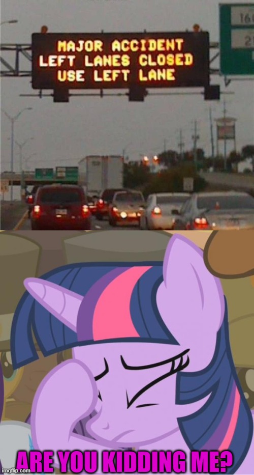 I can't tell if this person was lazy or just stupid. | ARE YOU KIDDING ME? | image tagged in mlp twilight sparkle facehoof,you had one job | made w/ Imgflip meme maker