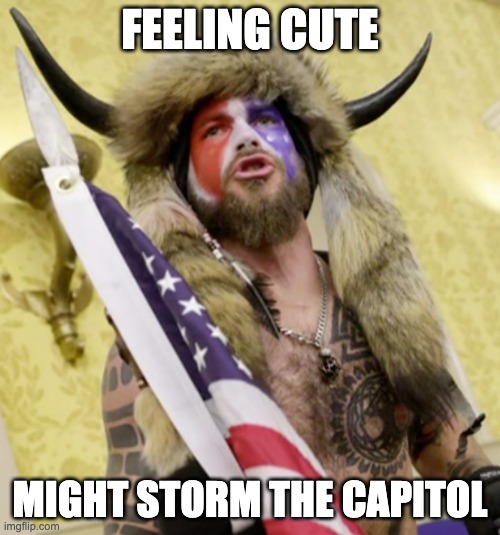 Feeling Cute - Might Storm the Capitol | FEELING CUTE; MIGHT STORM THE CAPITOL | image tagged in feeling cute | made w/ Imgflip meme maker