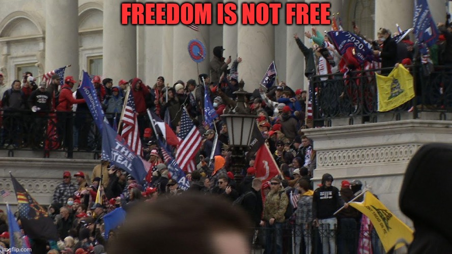 Politics and stuff | FREEDOM IS NOT FREE | image tagged in funny memes | made w/ Imgflip meme maker