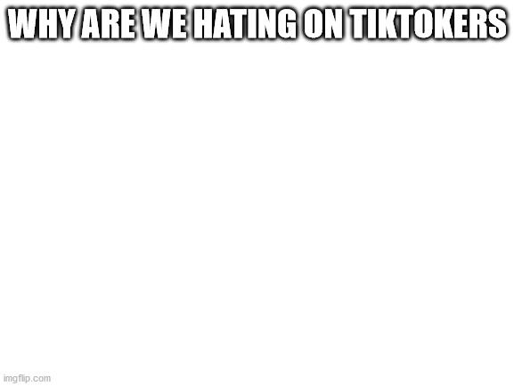 please tell me | WHY ARE WE HATING ON TIKTOKERS | image tagged in blank white template | made w/ Imgflip meme maker