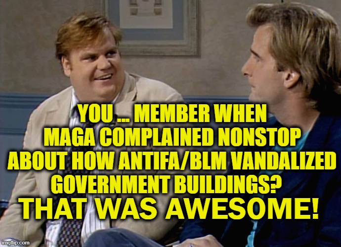 Member? | YOU ... MEMBER WHEN MAGA COMPLAINED NONSTOP ABOUT HOW ANTIFA/BLM VANDALIZED GOVERNMENT BUILDINGS? THAT WAS AWESOME! | image tagged in maga,antifa,blm | made w/ Imgflip meme maker
