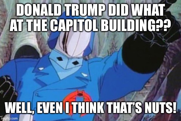 Cobra Commander | DONALD TRUMP DID WHAT AT THE CAPITOL BUILDING?? WELL, EVEN I THINK THAT’S NUTS! | image tagged in cobra commander | made w/ Imgflip meme maker