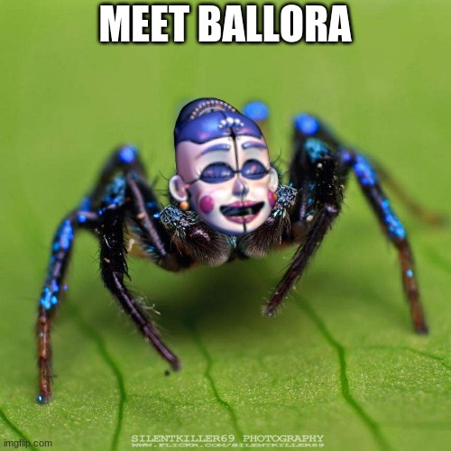 Ballora | MEET BALLORA | image tagged in oof | made w/ Imgflip meme maker