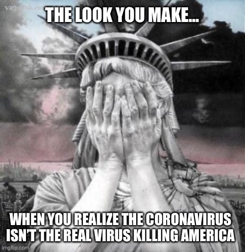 The Real American Virus | THE LOOK YOU MAKE... WHEN YOU REALIZE THE CORONAVIRUS ISN’T THE REAL VIRUS KILLING AMERICA | image tagged in coronavirus,covid-19,donald trump | made w/ Imgflip meme maker