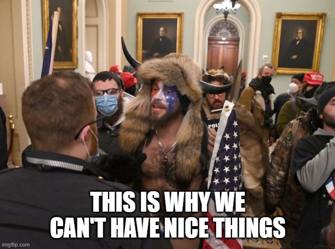 WTF | THIS IS WHY WE CAN'T HAVE NICE THINGS | image tagged in politics | made w/ Imgflip meme maker