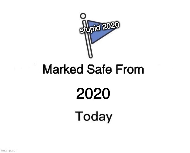 goodbye 2020! | stupid 2020; 2020 | image tagged in memes,marked safe from | made w/ Imgflip meme maker