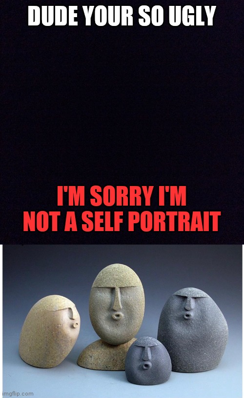 Damn.... | DUDE YOUR SO UGLY; I'M SORRY I'M NOT A SELF PORTRAIT | image tagged in ooooooo,damn,memes,funny,comeback | made w/ Imgflip meme maker