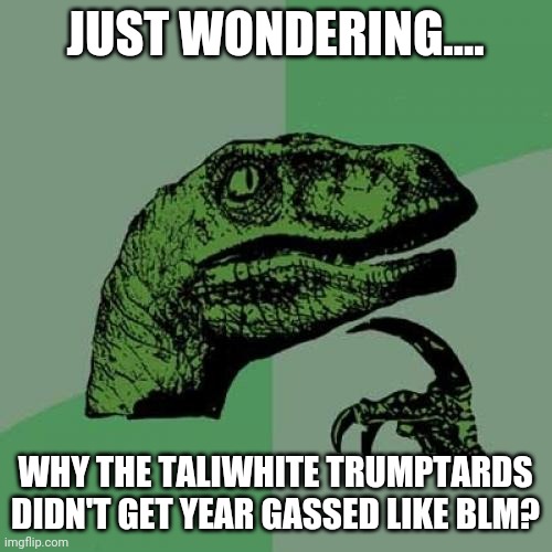 Taliwhite privilege | JUST WONDERING.... WHY THE TALIWHITE TRUMPTARDS DIDN'T GET YEAR GASSED LIKE BLM? | image tagged in trump supporters,conservatives,maga,donald trump,republicans,blm | made w/ Imgflip meme maker