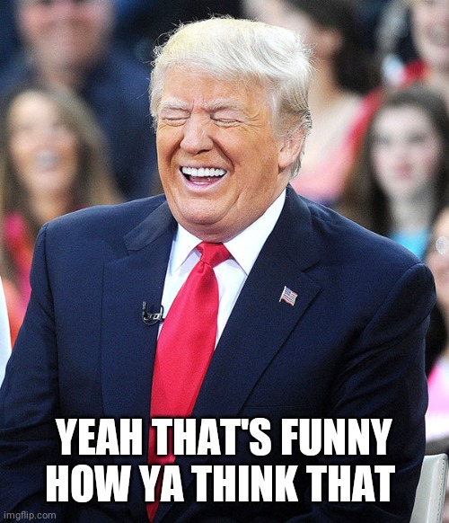 trump laughing | YEAH THAT'S FUNNY HOW YA THINK THAT | image tagged in trump laughing | made w/ Imgflip meme maker