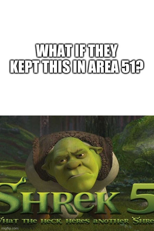if only the raid worked... | WHAT IF THEY KEPT THIS IN AREA 51? | image tagged in memes,funny,area 51,shrek,secrets,conspiracy | made w/ Imgflip meme maker