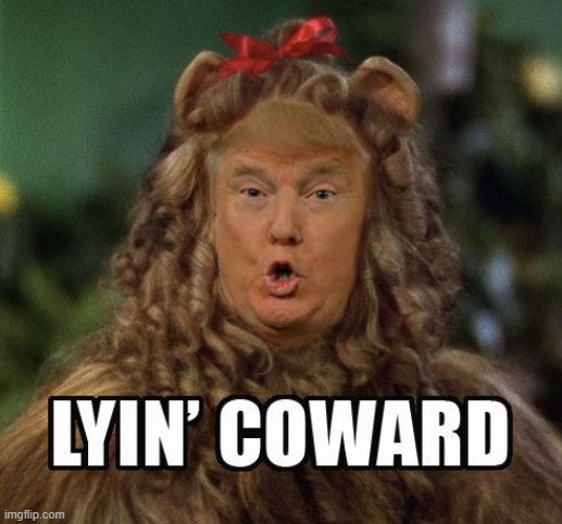 Trump | image tagged in memes,politics,coward,traitor,treason,lock him up | made w/ Imgflip meme maker