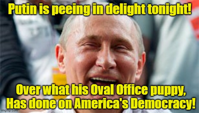 Putin Laugh | Putin is peeing in delight tonight! Over what his Oval Office puppy,
Has done on America's Democracy! | image tagged in putin laugh | made w/ Imgflip meme maker