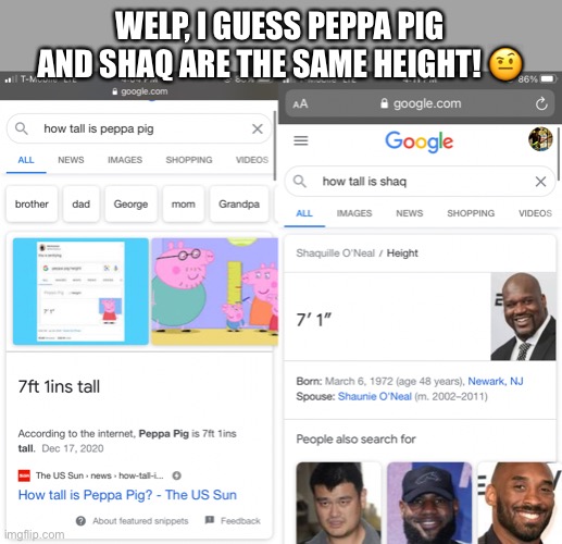 Shaq and Peppa pig | WELP, I GUESS PEPPA PIG AND SHAQ ARE THE SAME HEIGHT! 🤨 | image tagged in funny memes,memes,funny,peppa pig,shaq,silly | made w/ Imgflip meme maker