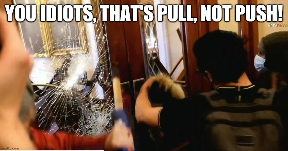 Pull! | YOU IDIOTS, THAT'S PULL, NOT PUSH! | image tagged in capitol hill | made w/ Imgflip meme maker
