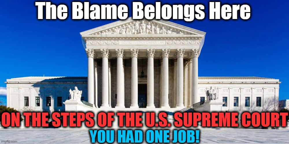 Fighting For Free & Fair Elections and The Supreme Court Took a Pass | The Blame Belongs Here; ON THE STEPS OF THE U.S. SUPREME COURT; YOU HAD ONE JOB! | image tagged in politics,supreme court,2020 elections,democratic socialism,republicans,america | made w/ Imgflip meme maker