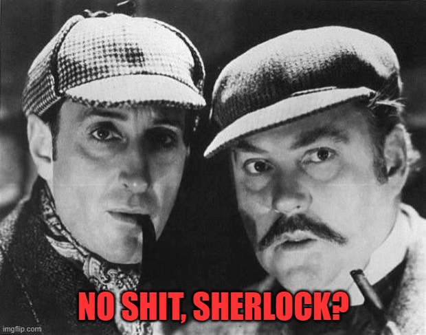 sherlock holmes | NO SHIT, SHERLOCK? | image tagged in sherlock holmes | made w/ Imgflip meme maker