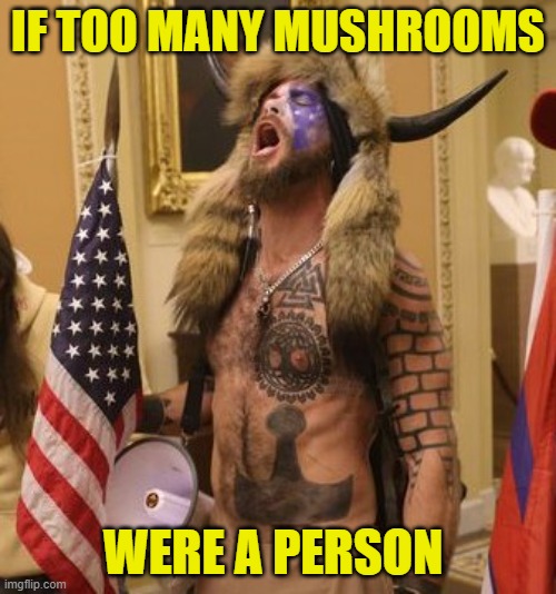 Qanon Man | IF TOO MANY MUSHROOMS; WERE A PERSON | image tagged in qanon man | made w/ Imgflip meme maker